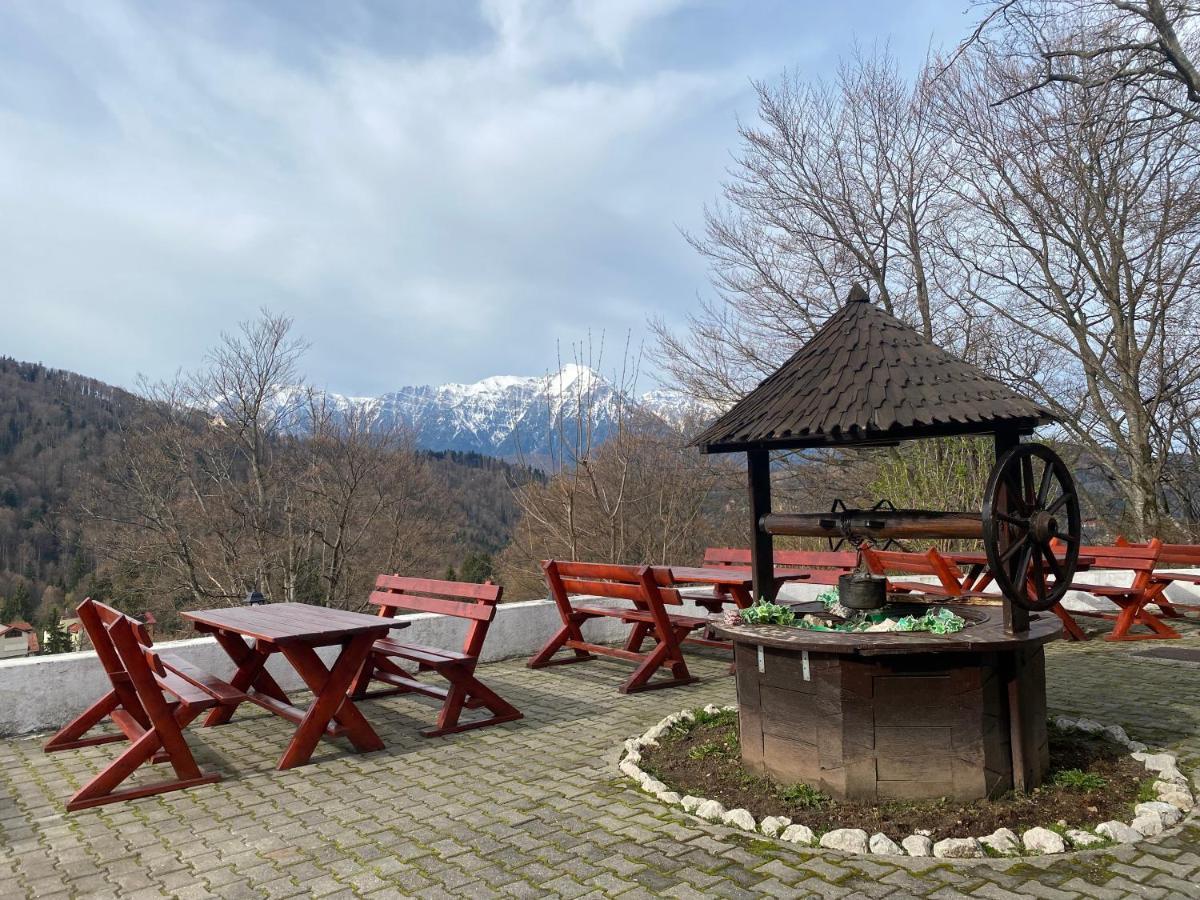 特雷布拉奇小屋酒店 普雷代亚尔 外观 照片