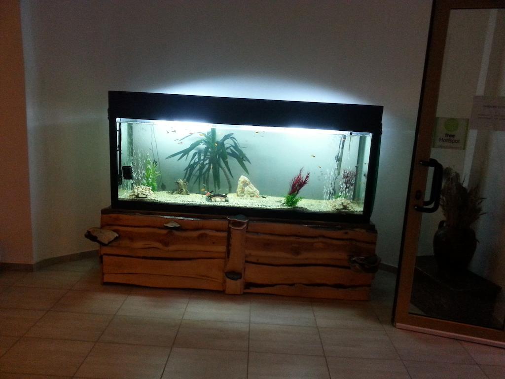 特雷布拉奇小屋酒店 普雷代亚尔 外观 照片
